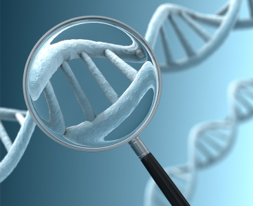 Dịch vụ phân tích hệ Genome