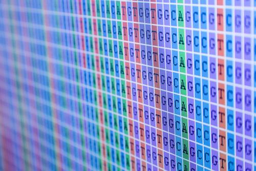 Phát hiện DNA methylation